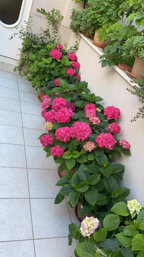 Apartment Pearl Of Split Exterior foto